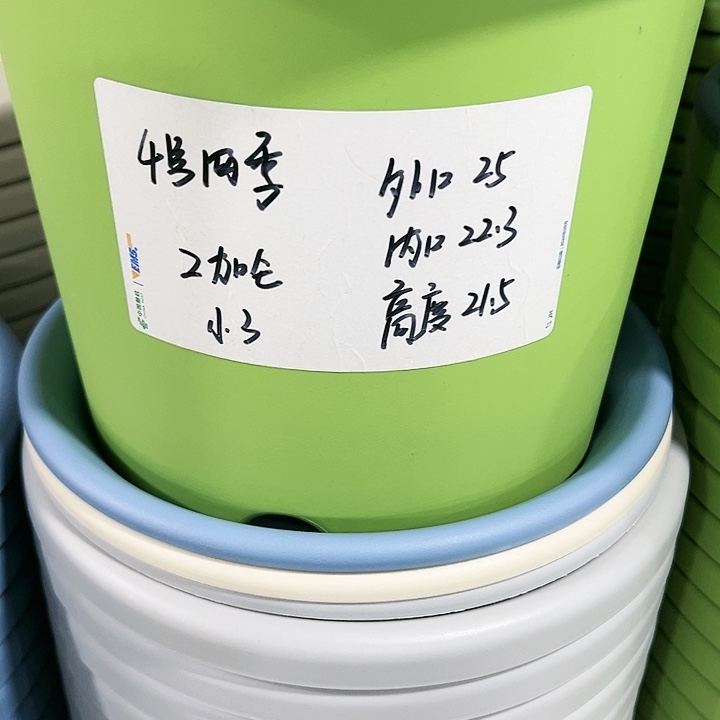 特价4号四季口25高21.5果绿色8个无托