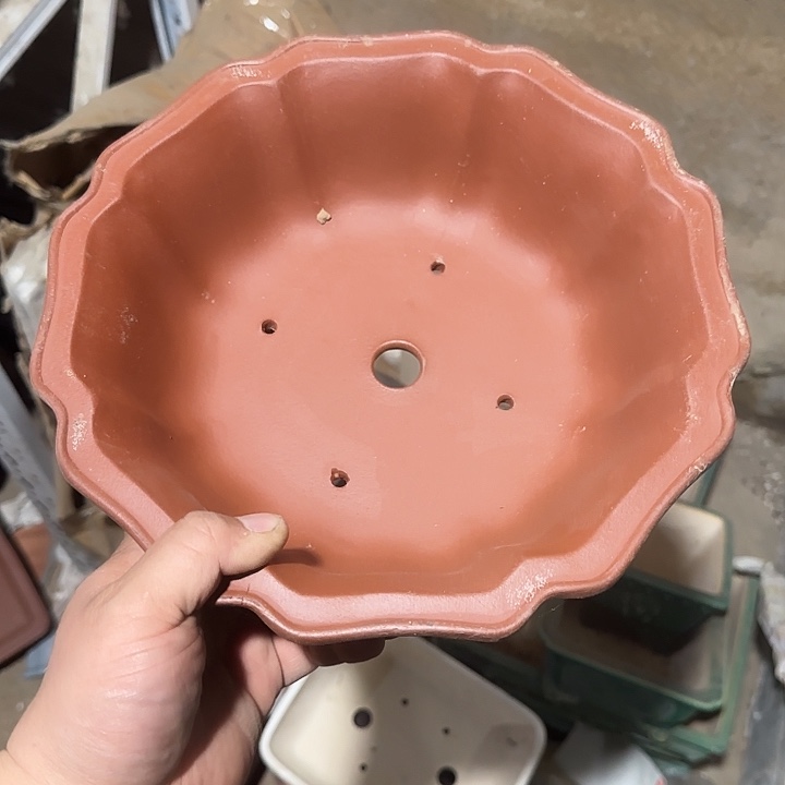 你也不要多吃一两子东西我吃过