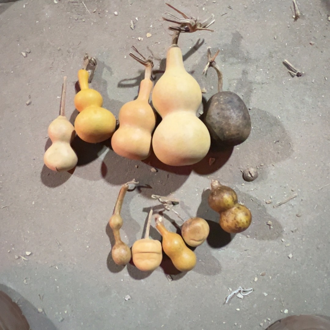 葫芦哈哈哈好看谢谢