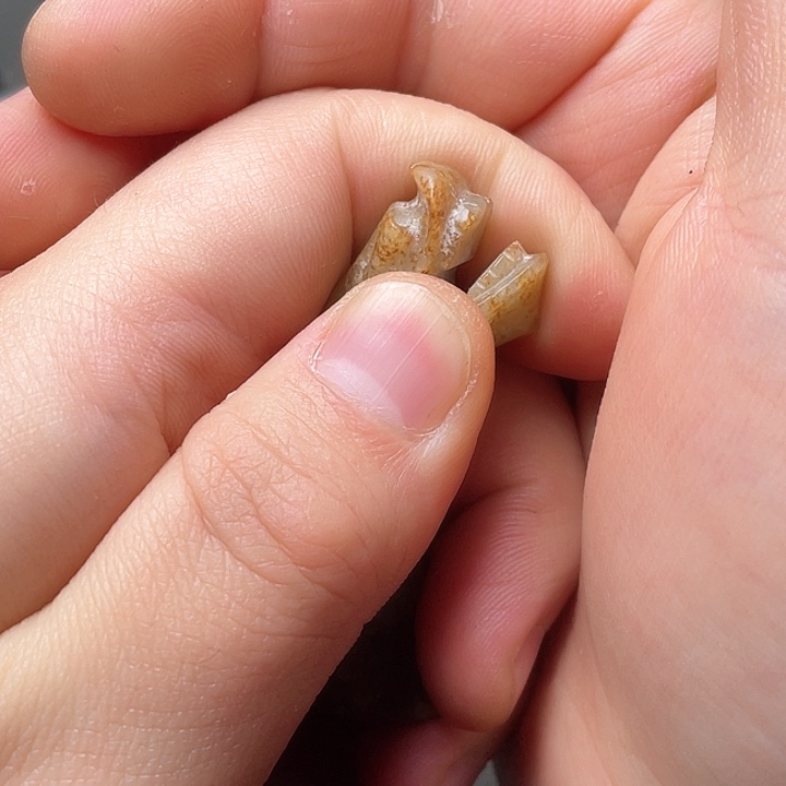 和田玉如图未镶嵌阿*木