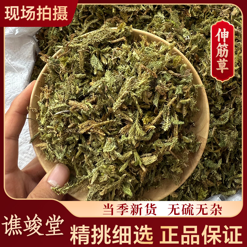谯竣堂正品伸筋草 原料 筋骨草 小舒筋草 搭配透骨草