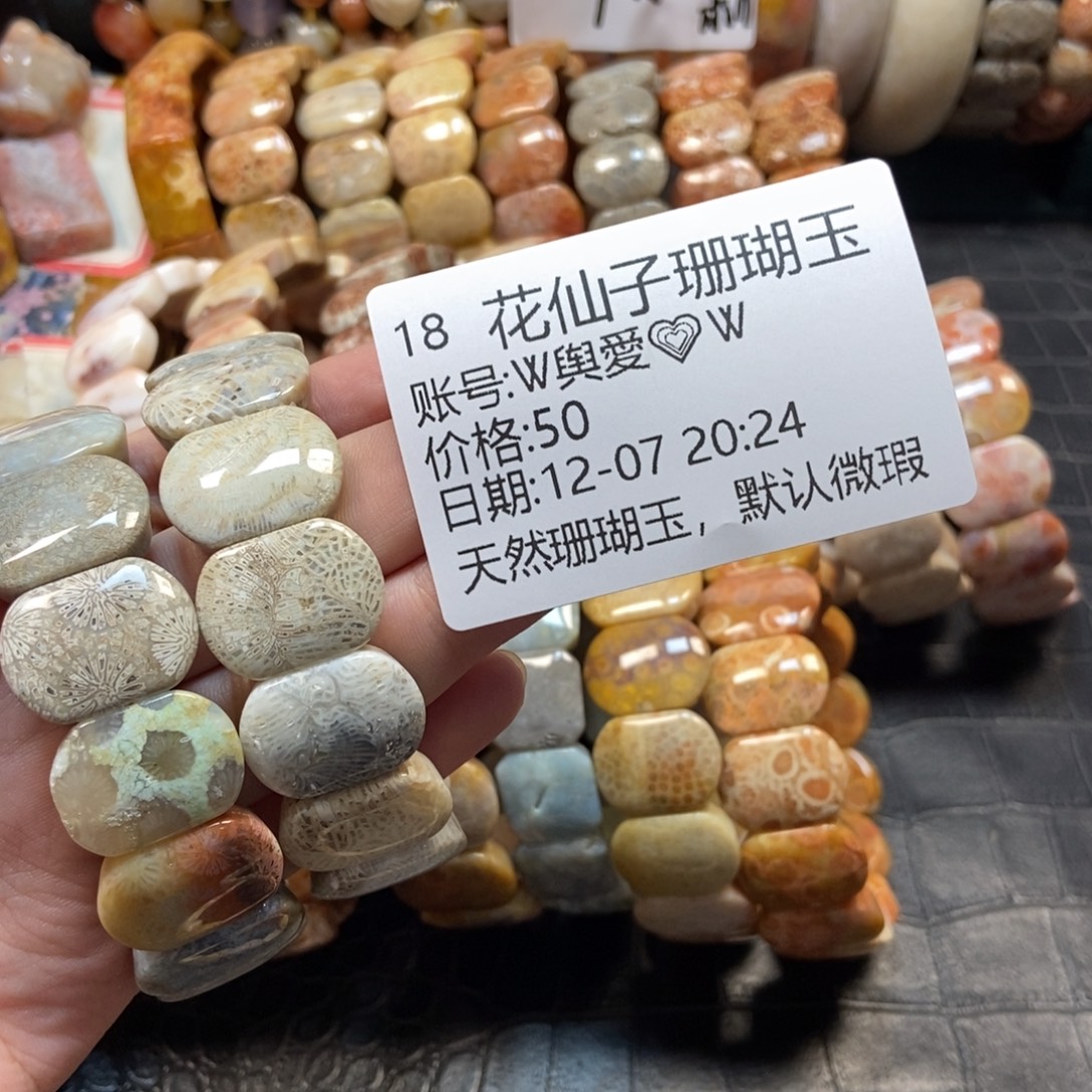 Ꮤ***Ꮤ硅化珊瑚（珊瑚玉）未镶嵌珠宝半成品18