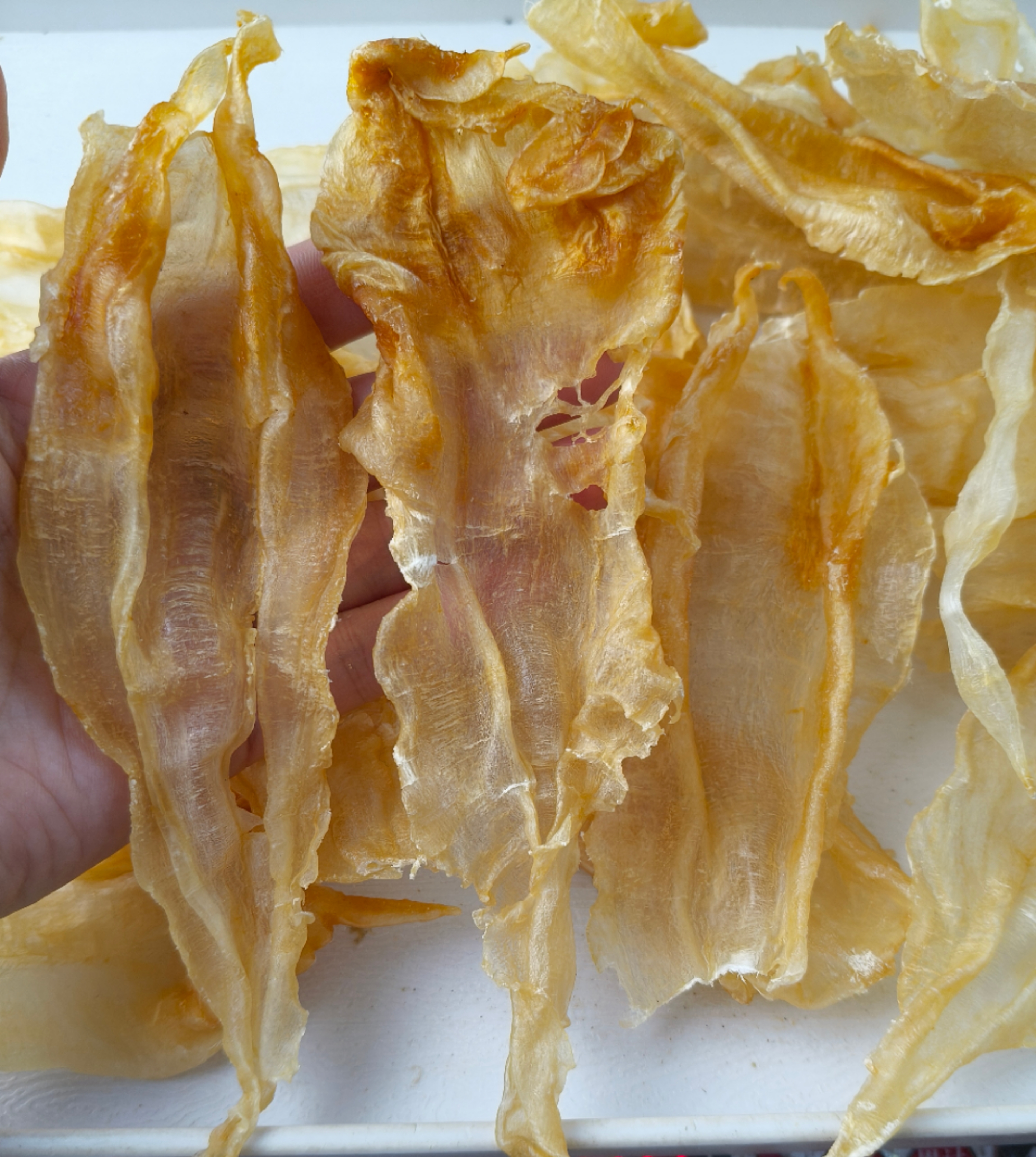 WJ-15254 北海公破洞断胶 