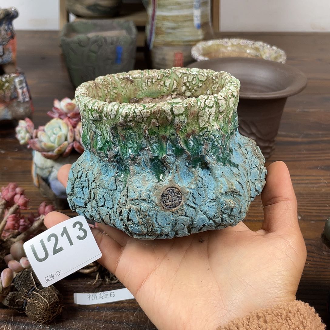 默认微次 跨年福利 坛子姐花盆