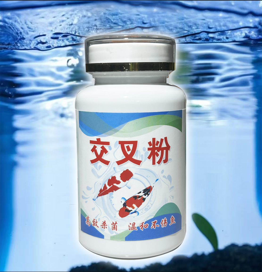 交叉粉锦鲤观赏鱼交叉感染合缸合池调节水质稳定水质净化水质