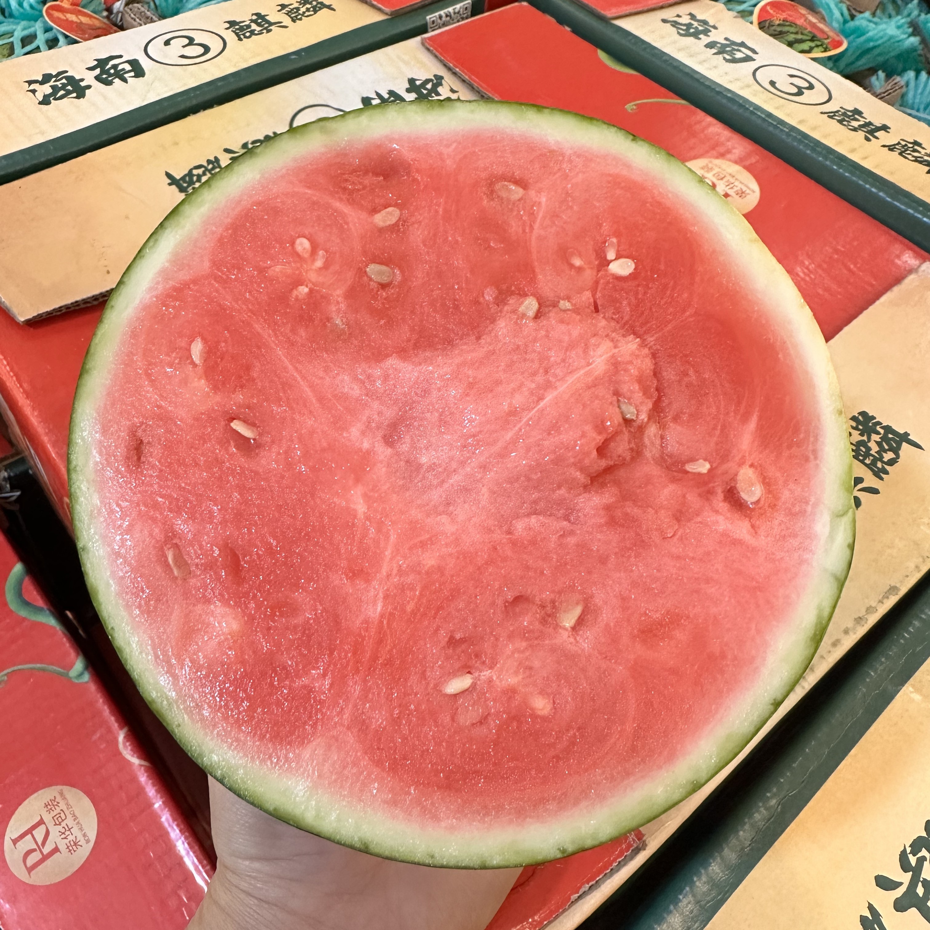 海南无籽麒麟小西瓜一件4粒装总重22-24斤，单颗5斤多