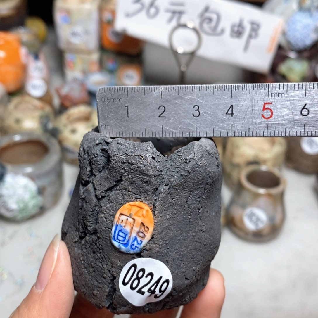 花盆拍5送一个小礼物