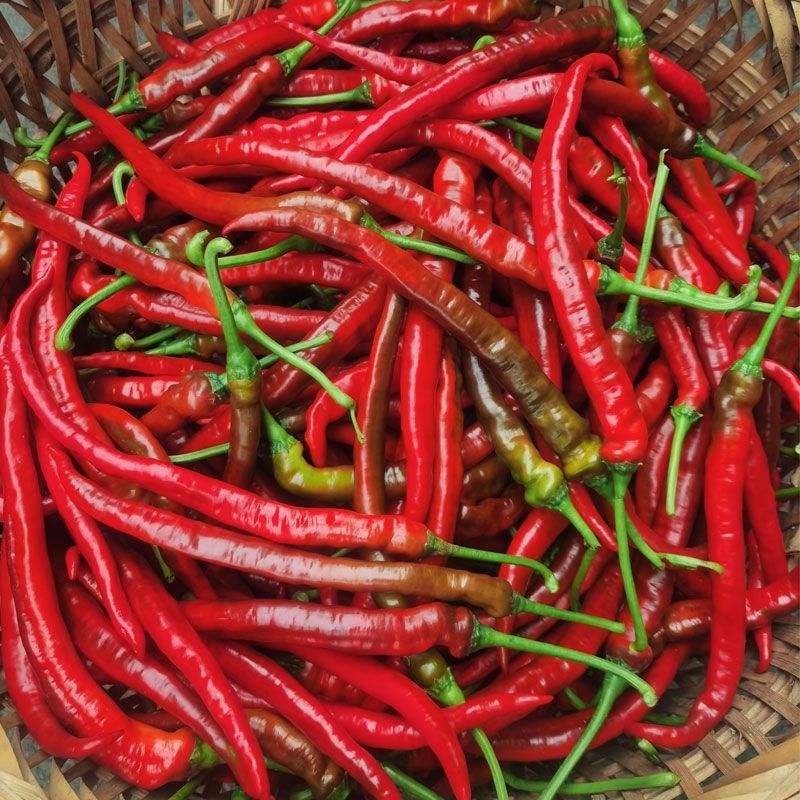 湖南本地红辣椒(剁椒，辣椒酱，豆瓣酱，晒干辣椒）