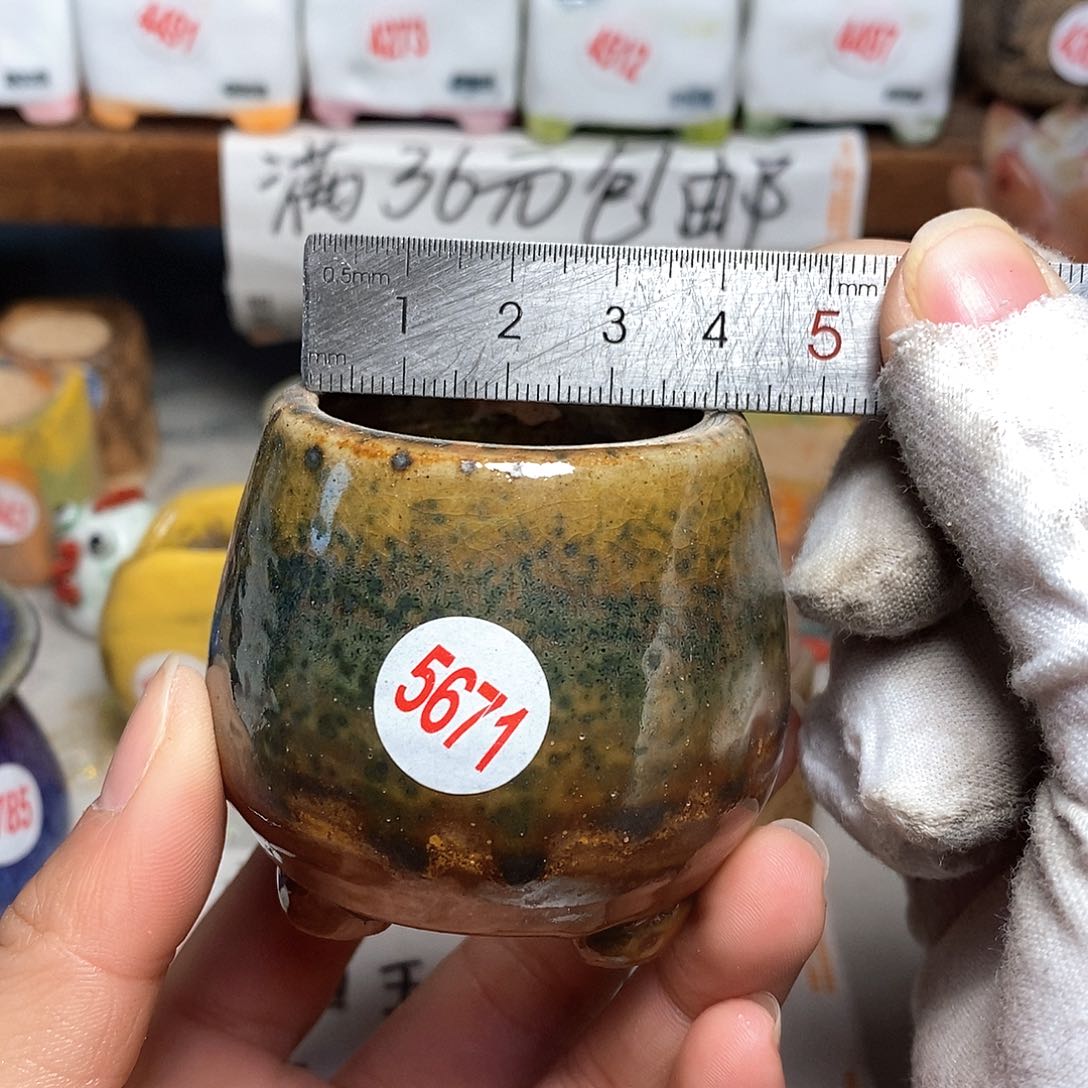 红陶拍5送一个小