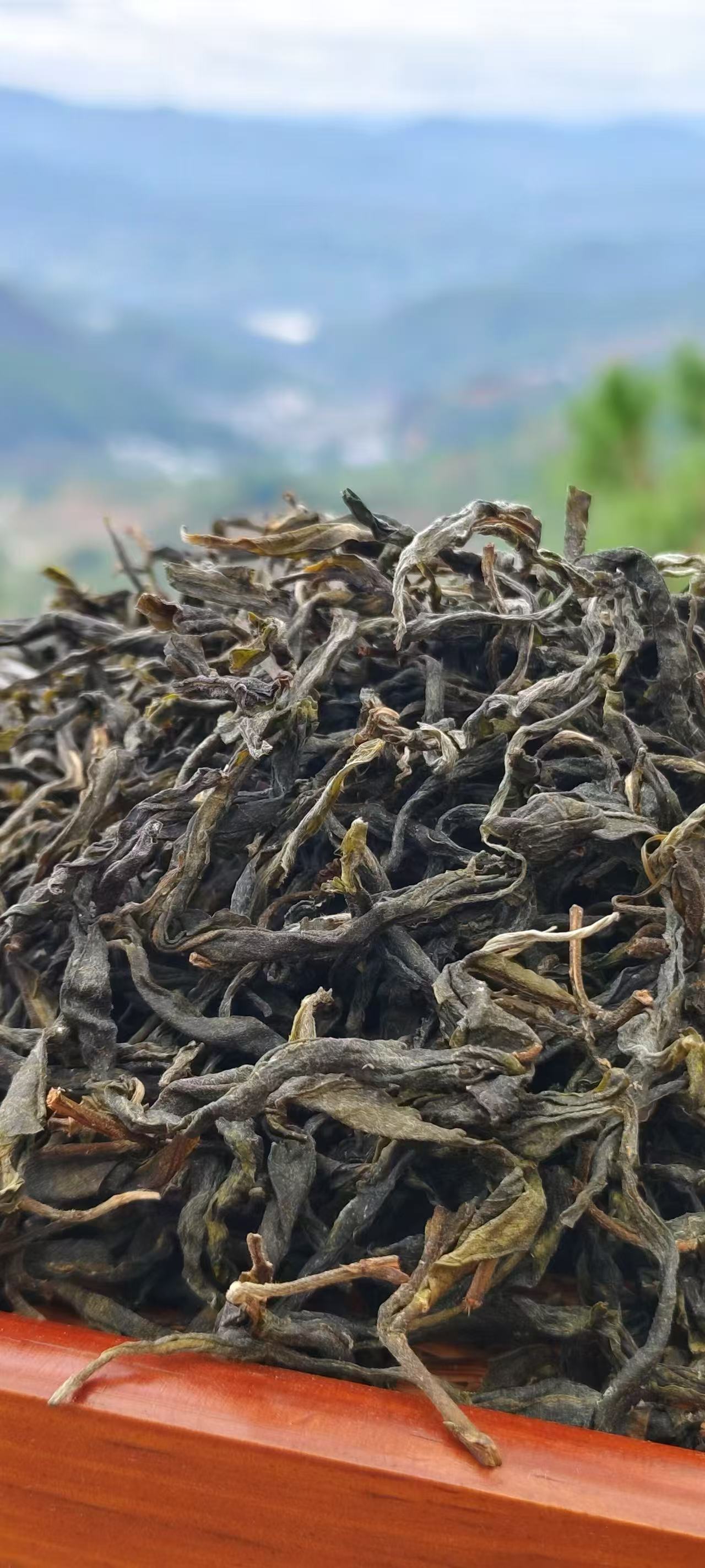 [古树单株]2024年明前春茶散茶