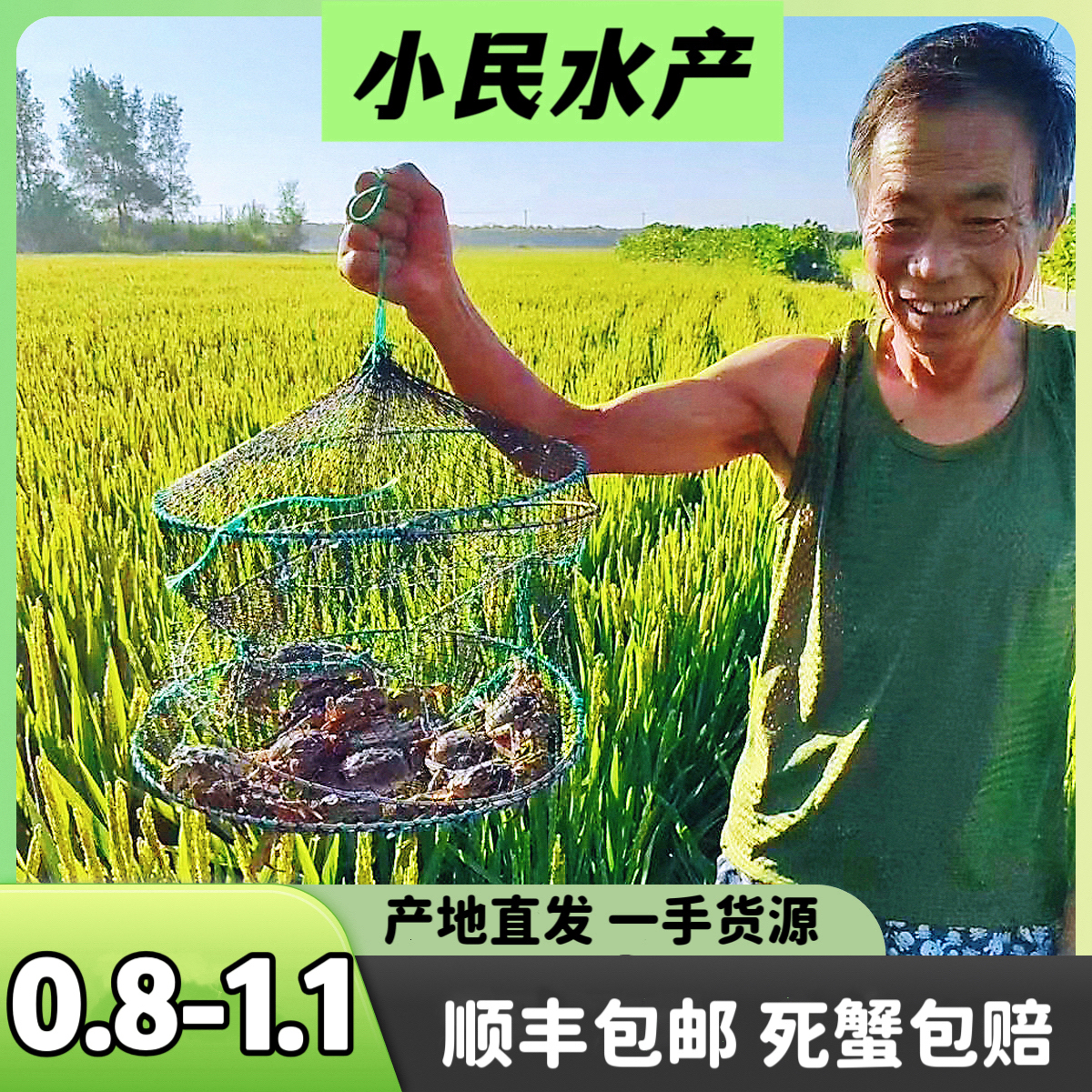 【活蟹】盘锦河蟹（公）0.8-1.1两4斤50-55只辽宁省内顺丰包邮做香辣