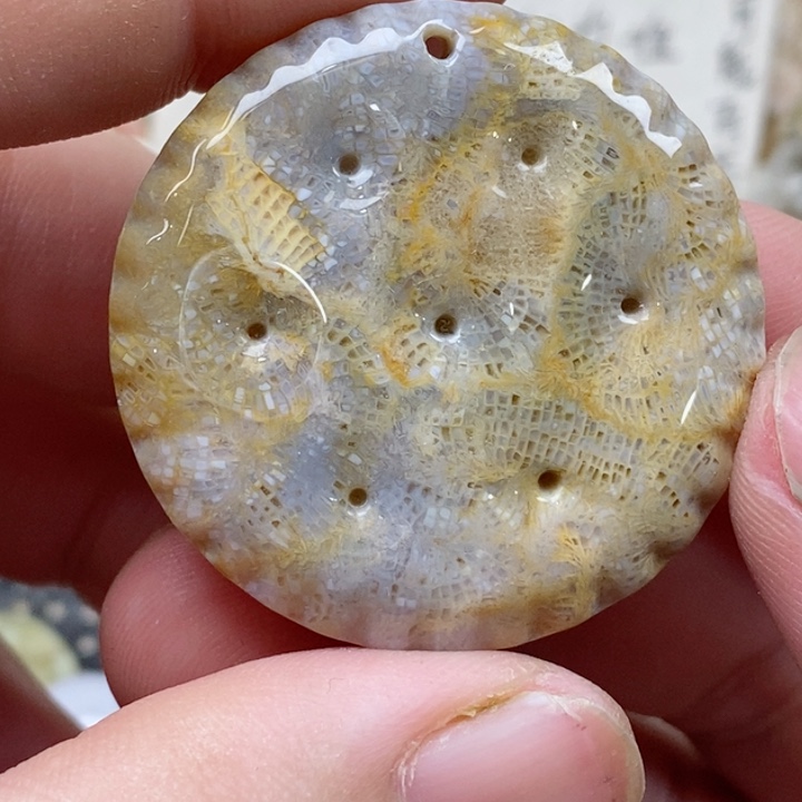 颈饰未镶嵌硅化珊瑚（珊瑚玉）