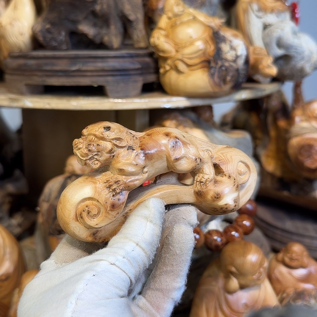 柏木（崖柏）666666666