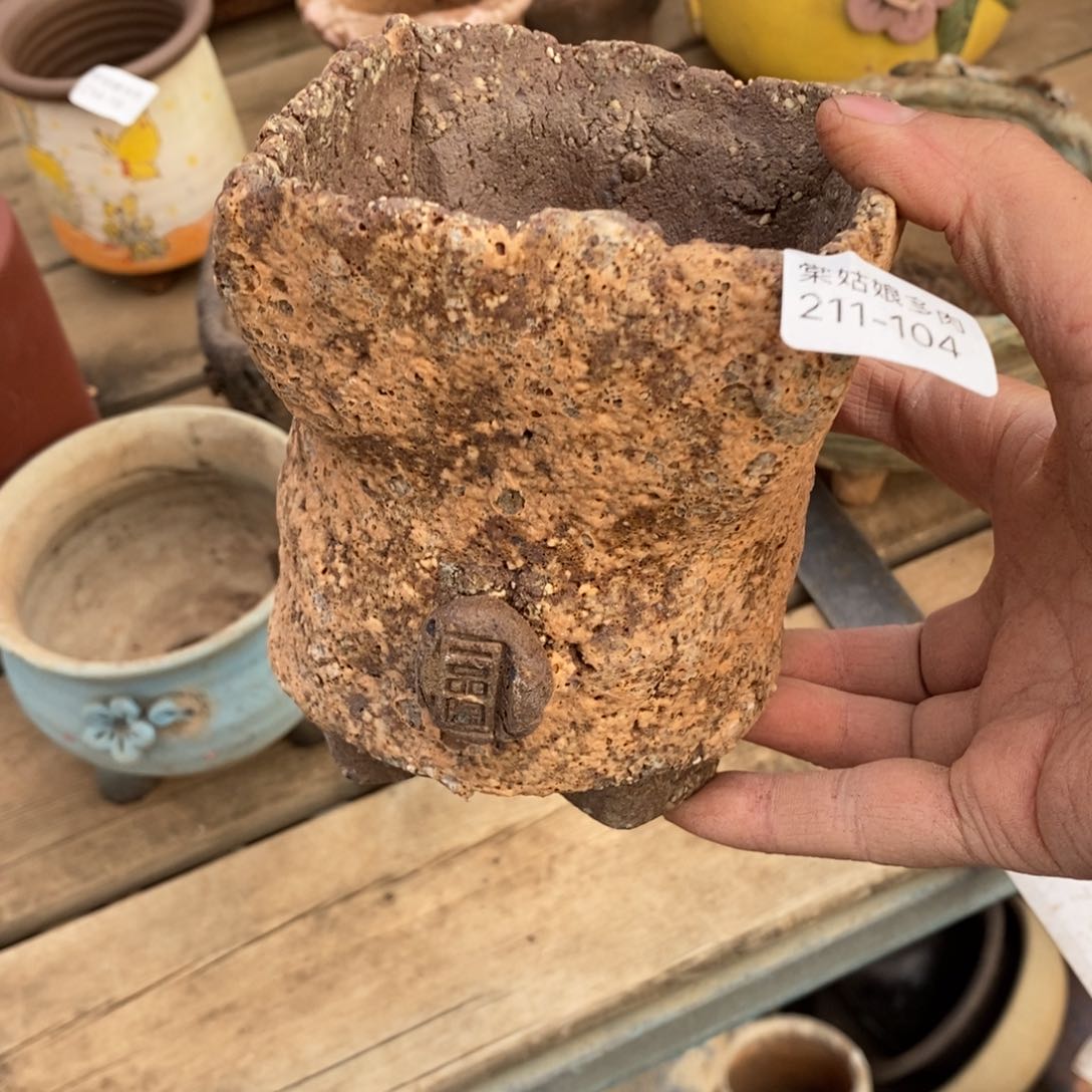 红陶恩104号多肉盆一个呀