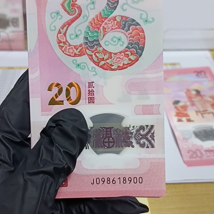 塑料蛇钞号码如图098618900
