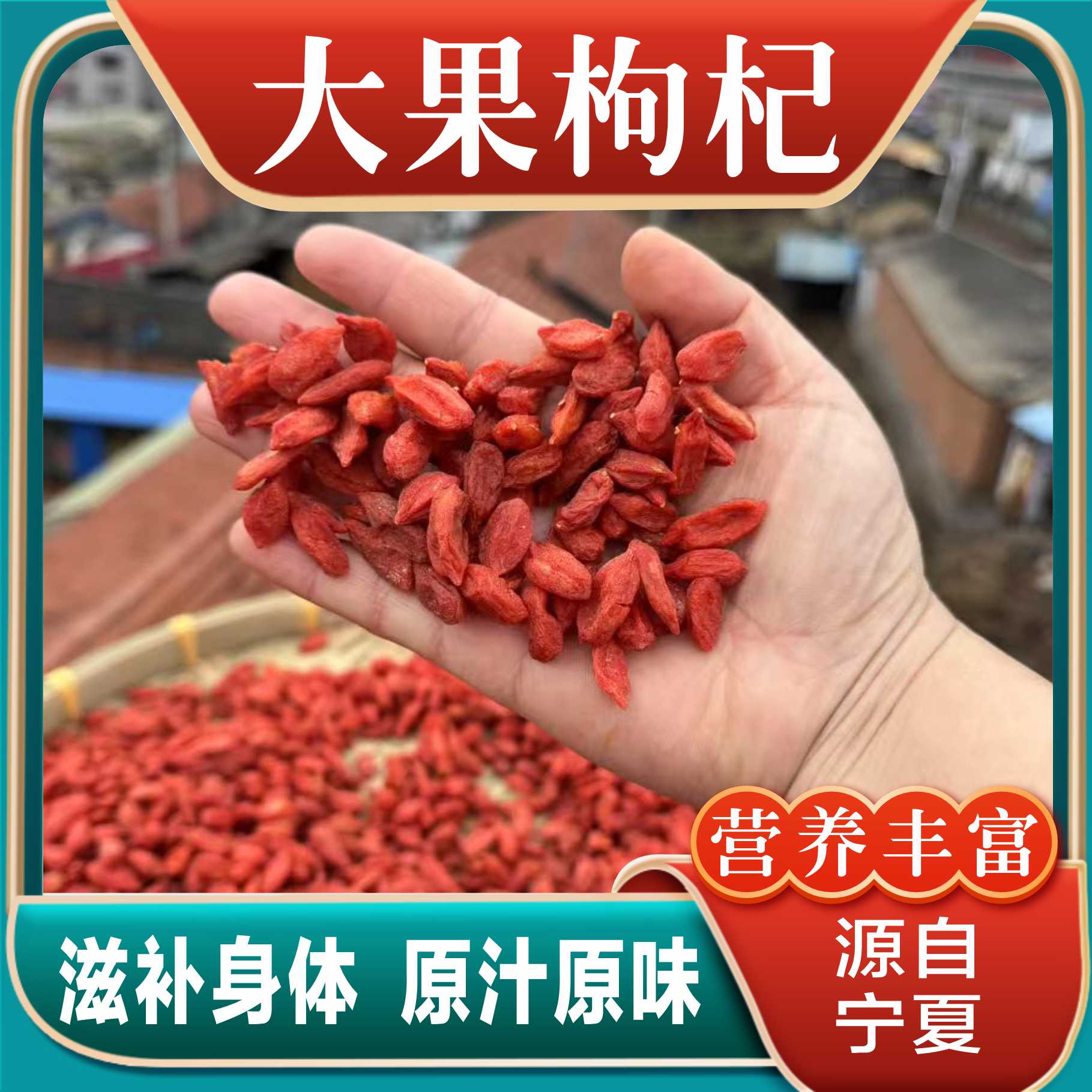 宁夏 中宁 大果枸杞 