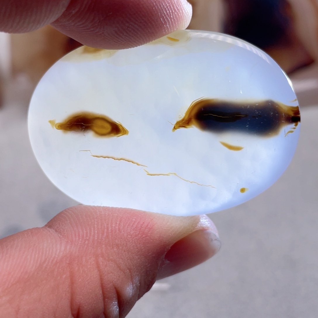 【闪购商品】玛瑙/玉髓颈饰合金