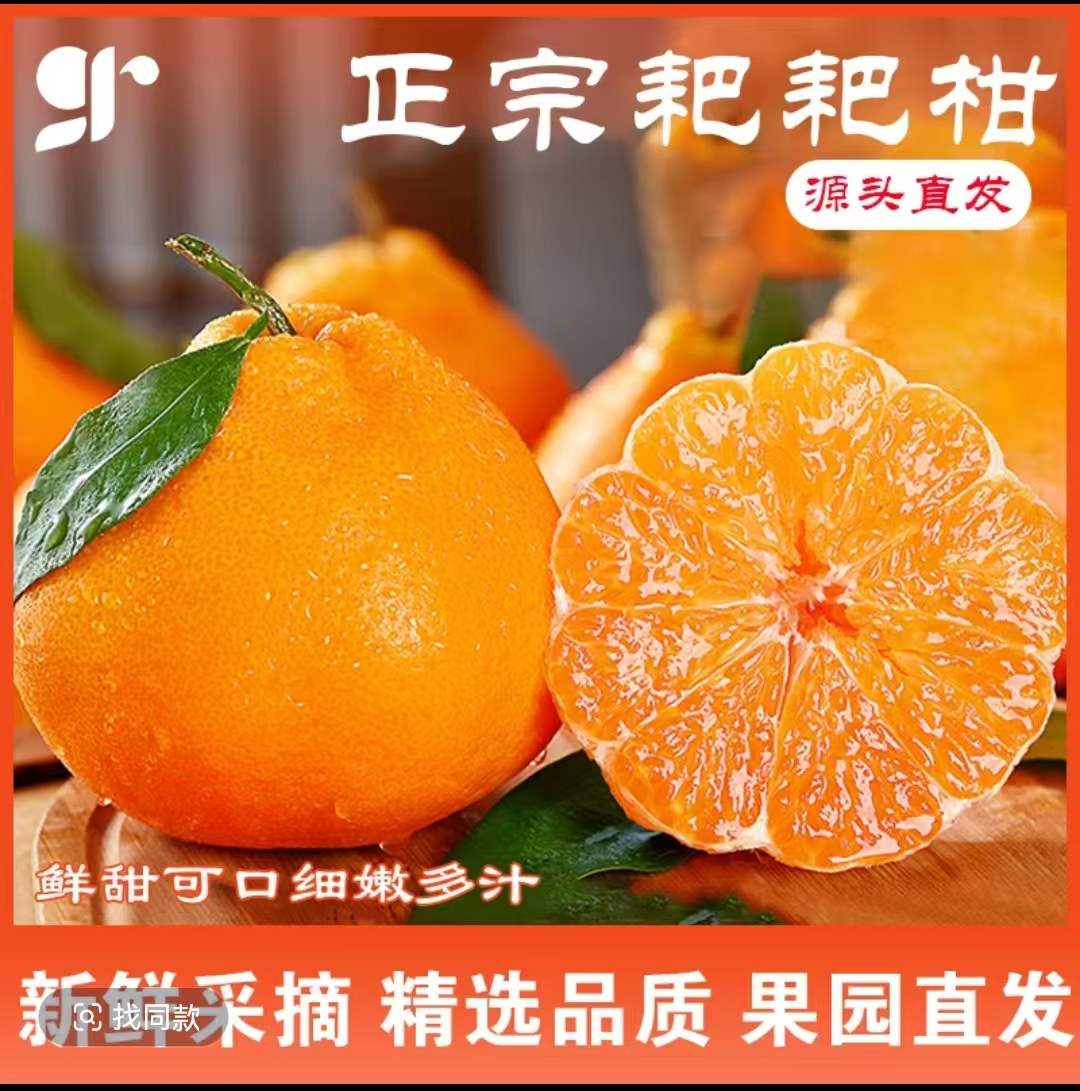 【年货节套袋精品果】四川春见耙耙柑现摘现发产地直发自然成熟YK