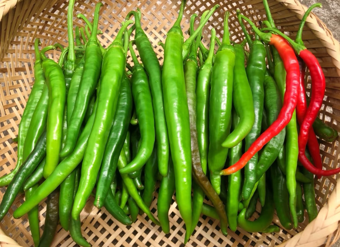 辣椒大集现收，农家自种
