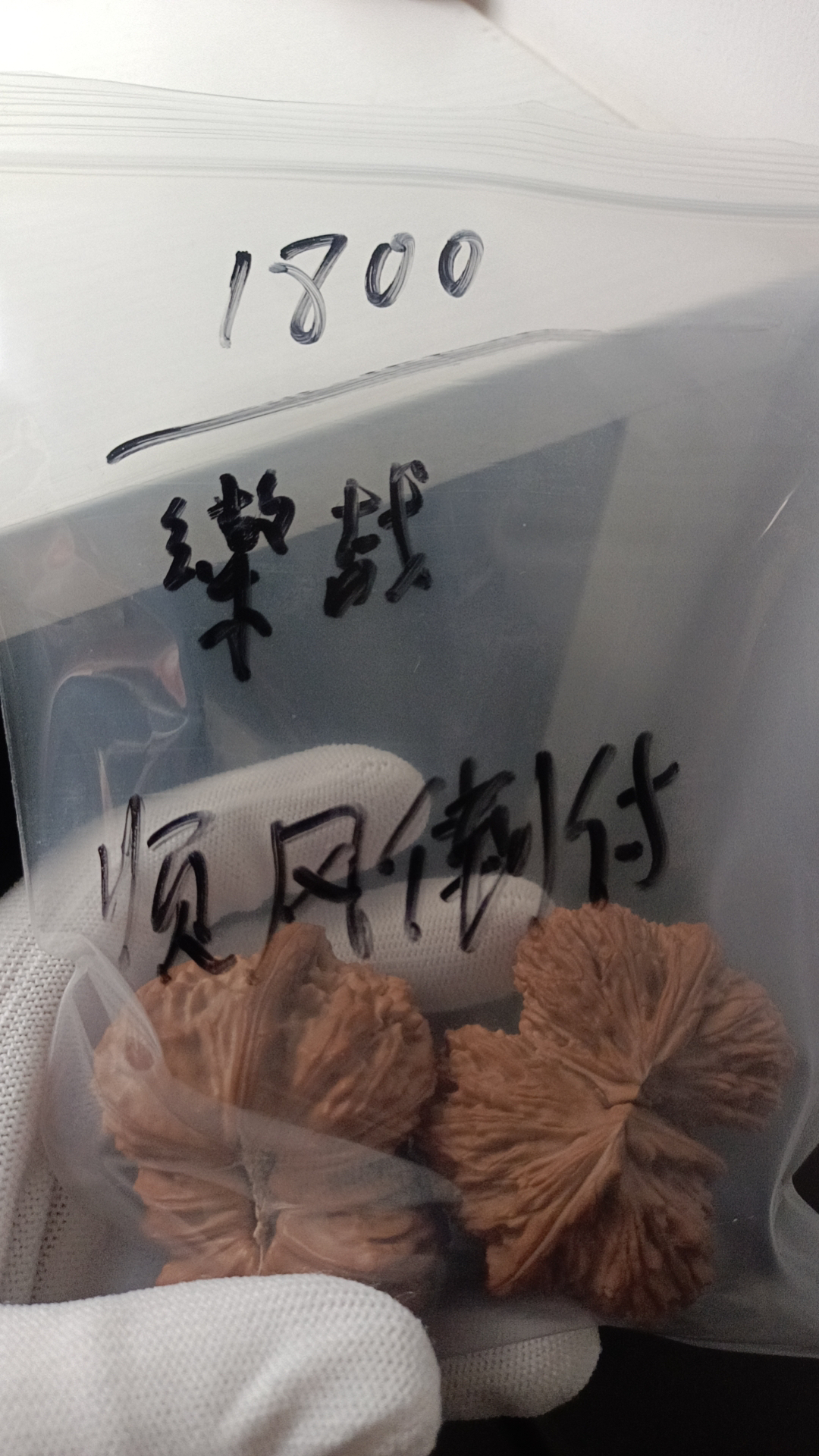 54白狮子连体异型文玩核桃