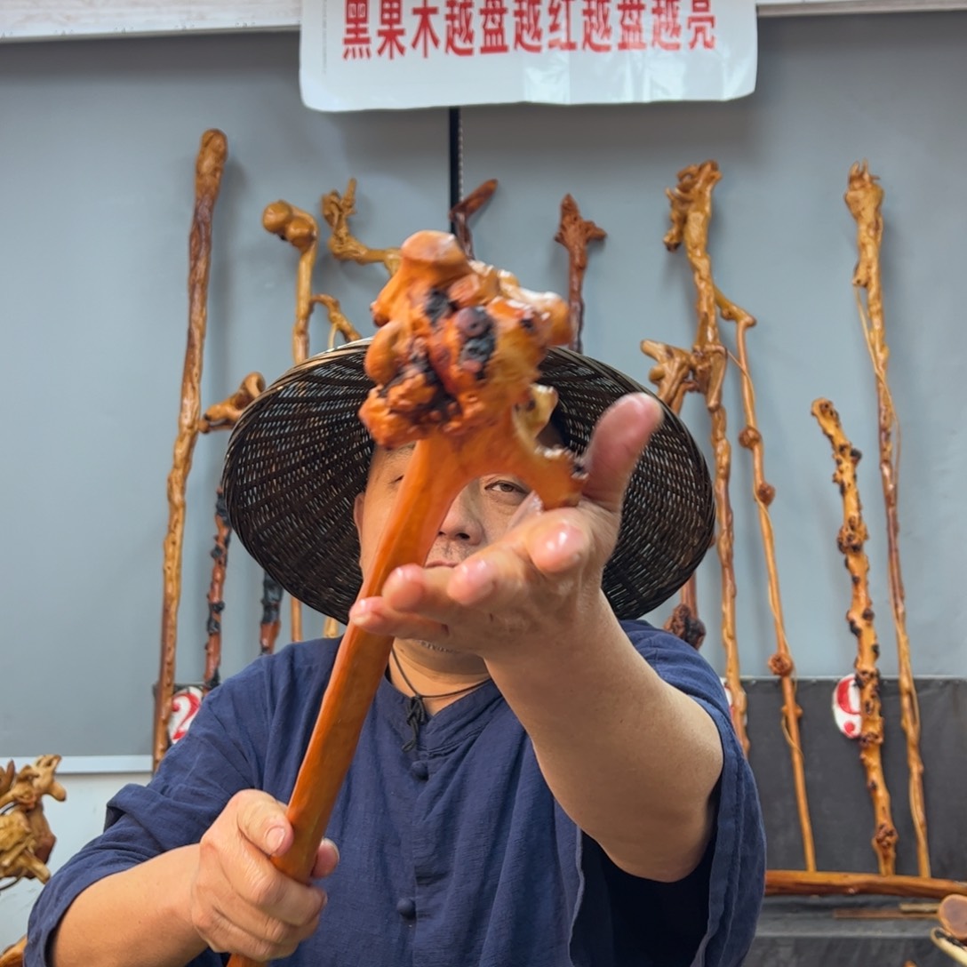 黑果木其他黑果木537