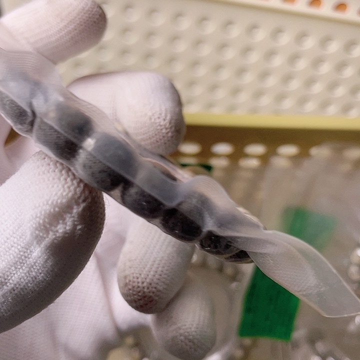 星月菩提手串F049 星月哈哈哈10