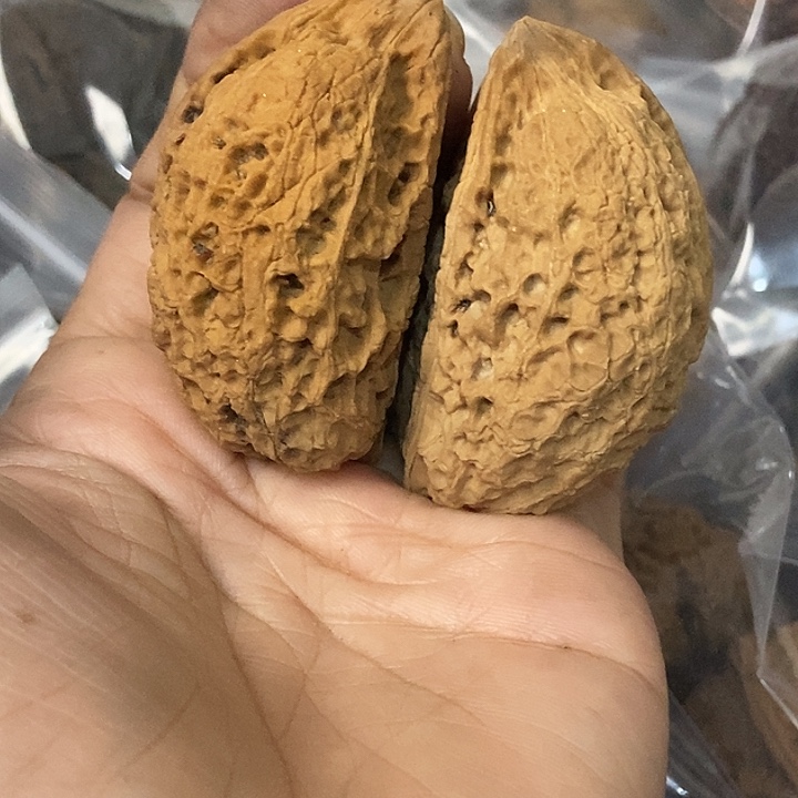 文玩核桃把件云南铁核桃基地27