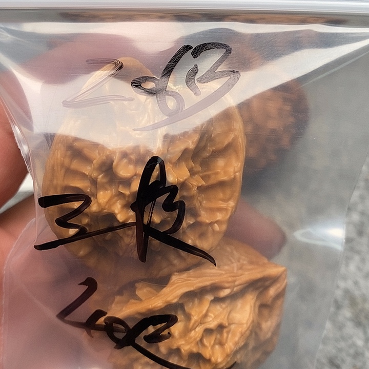 文玩核桃吊坠三棱