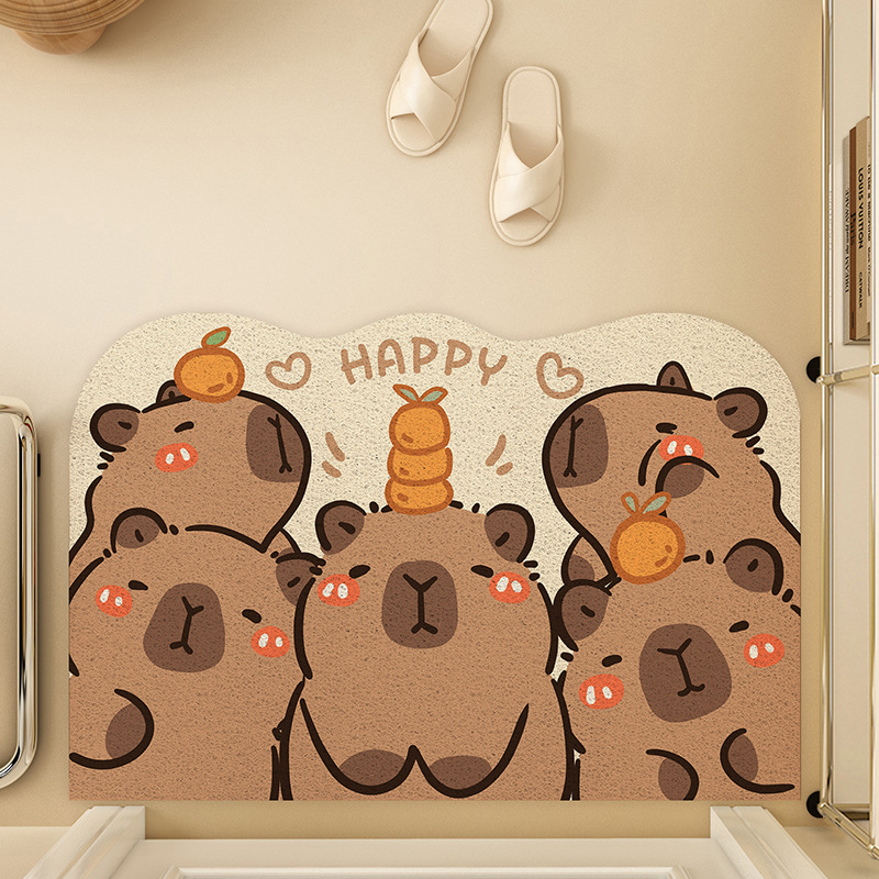 入户门地垫卡通丝圈门垫进门门口玄关除尘脚垫门外高级感耐脏地毯