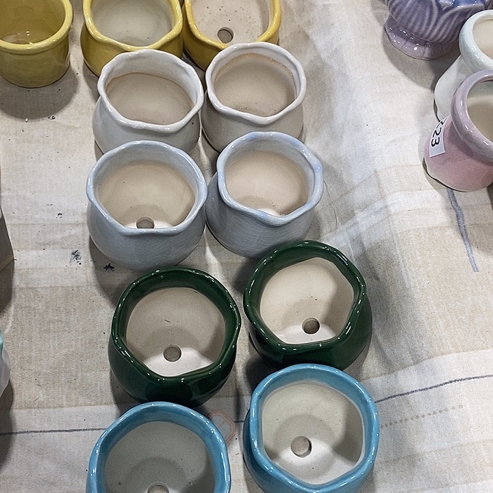 花盆抢购清货马上开始