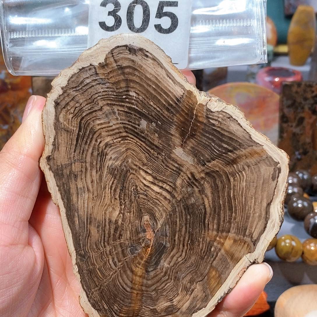 硅化玉天然北票硅化玉原石未镶嵌天然北票硅化玉原石