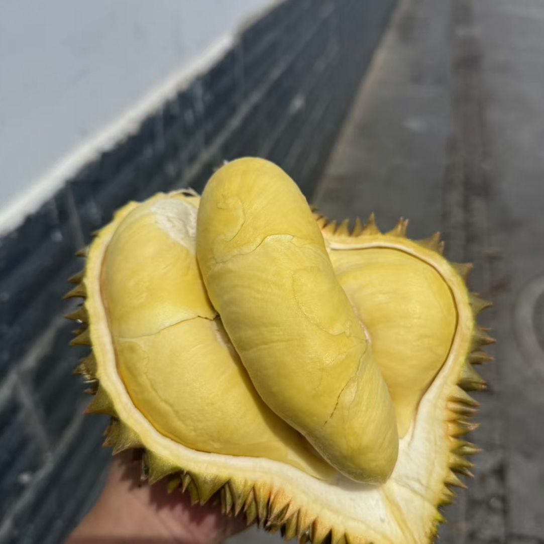 新鲜奶油猫山王榴莲 核大一果一拍 0克金枕泰国越南