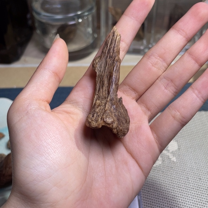 沉香越南沉水树丁吊坠6.9克