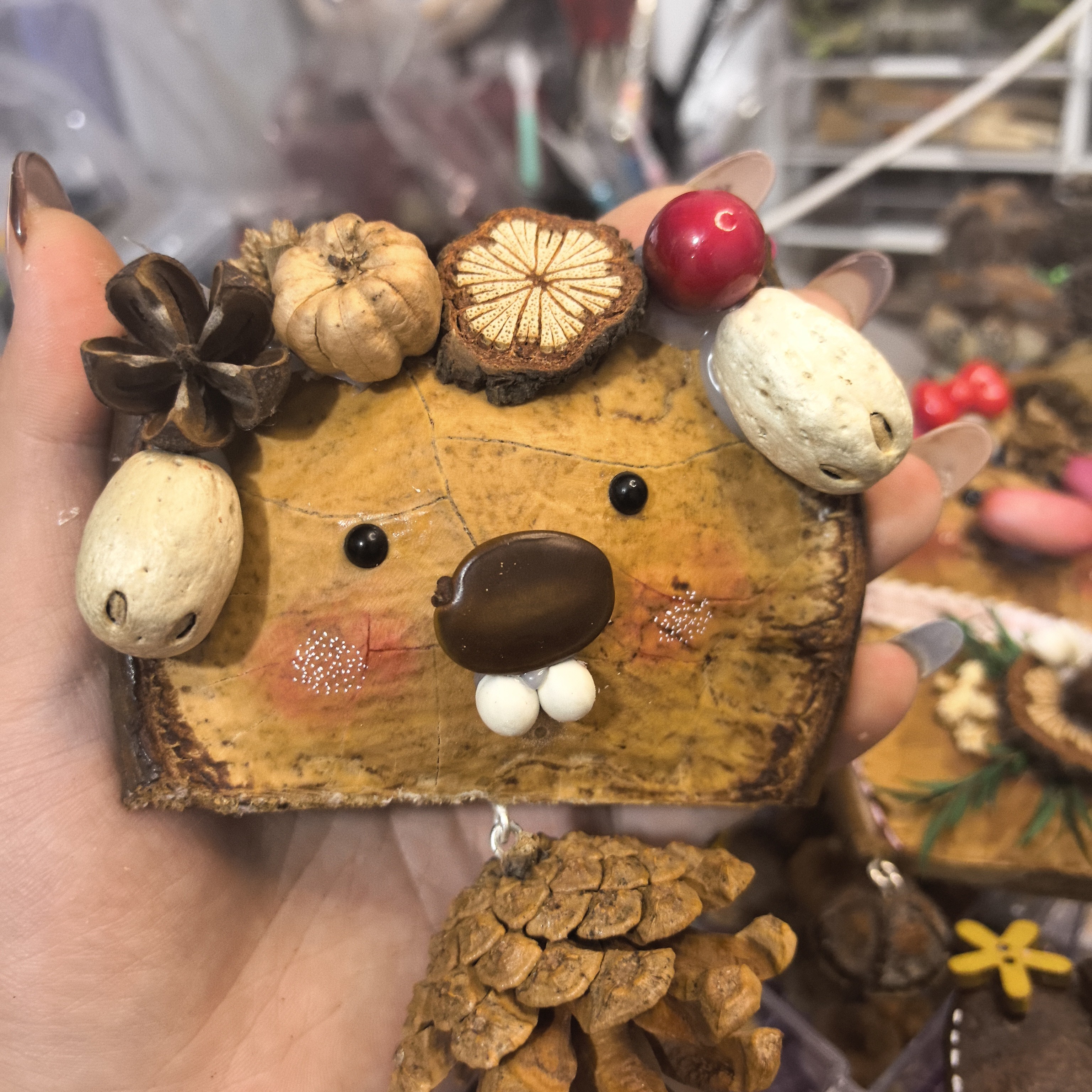 榼藤豆荚单豆双面款
