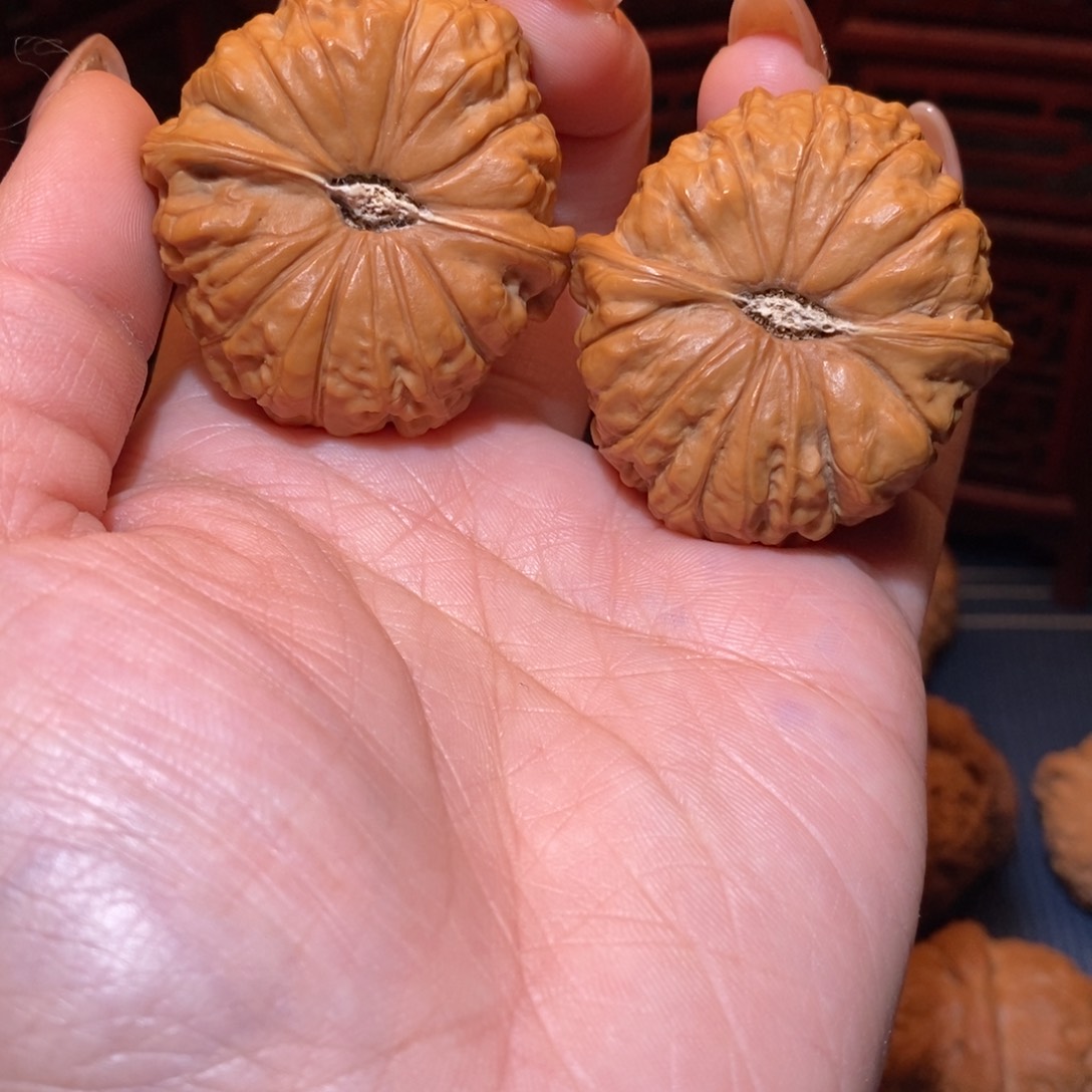 42南瓜墩精配对荷叶底