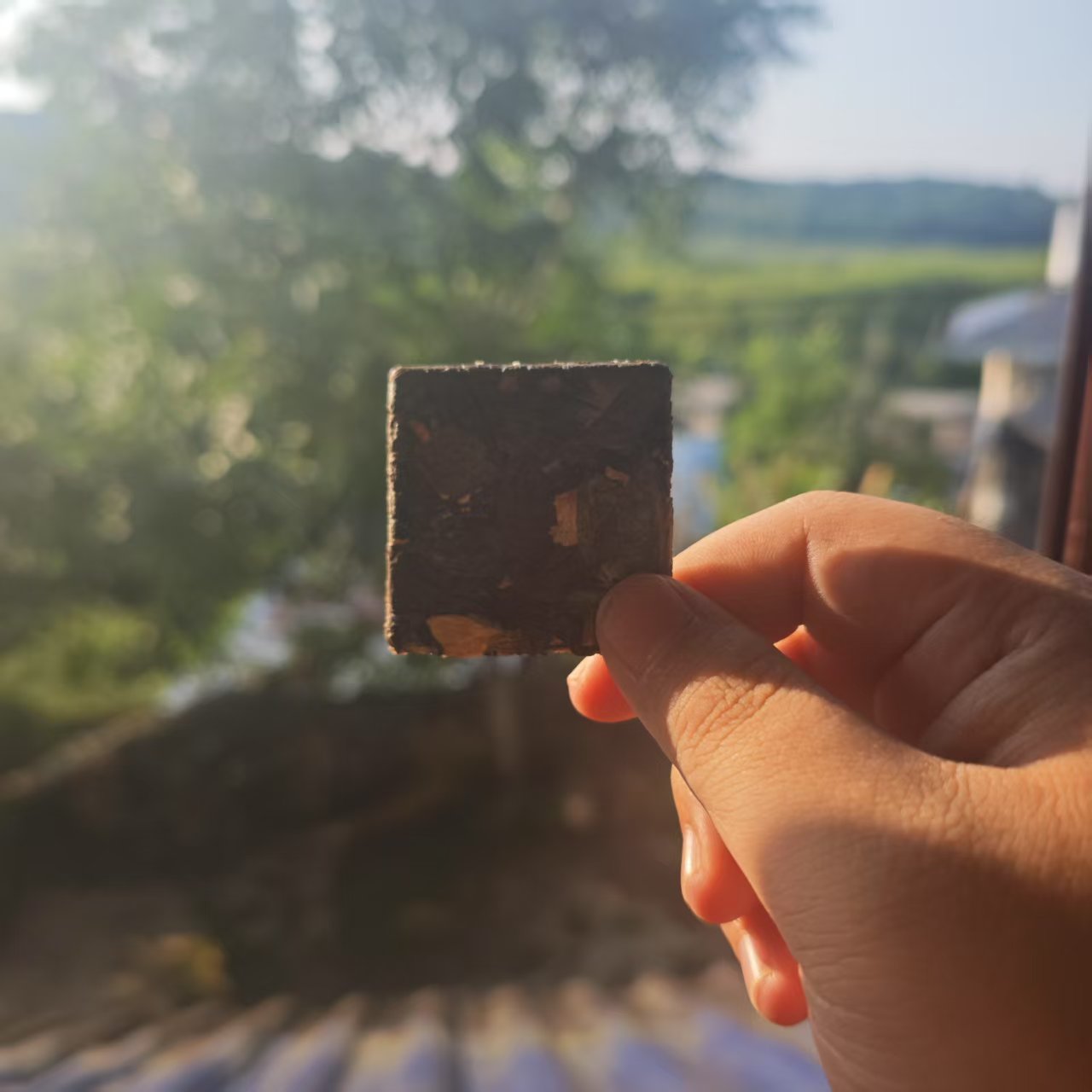 茉莉贡 普洱茶 散白茶