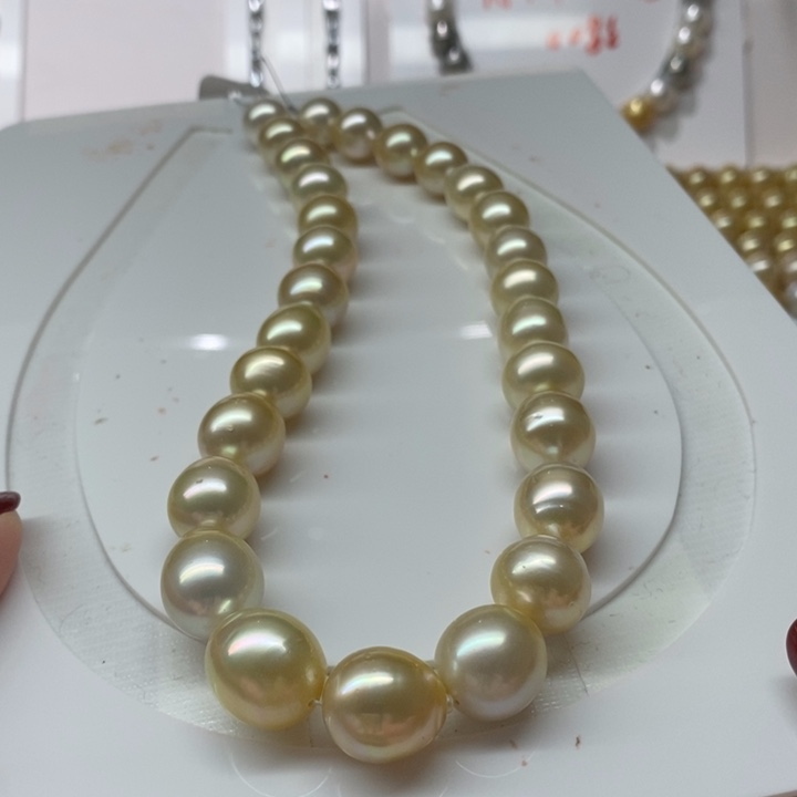 海水珍珠裸珠未镶嵌11.6-13.5