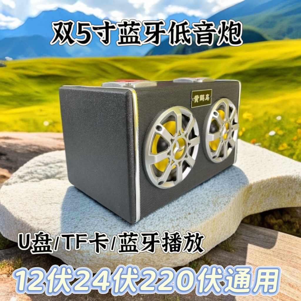 5寸双低音双高音低音炮车用12V24V音箱蓝牙大音量220V家用音箱