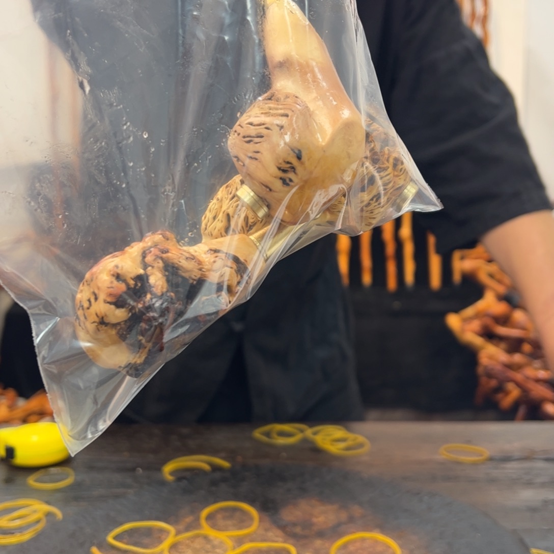 黑果木其他黑果木740