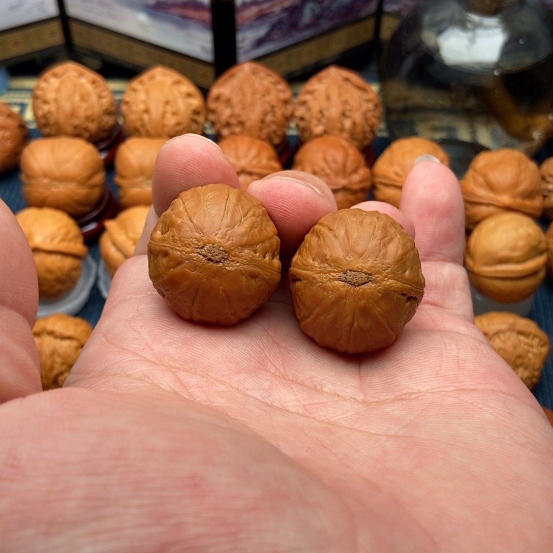 文玩核桃把件1**4小龙珠