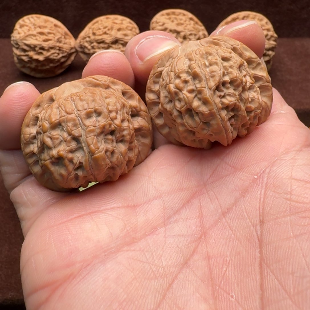 文玩核桃把件血麒麟40