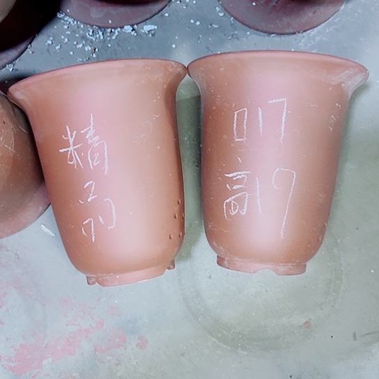 红陶紫砂紫砂小时紫砂