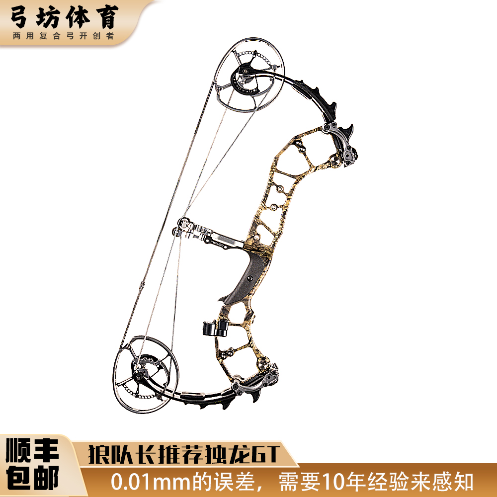 独龙GT复合弓弓箭两用弓航空铝可调磅户外运动专业器材顺丰包邮