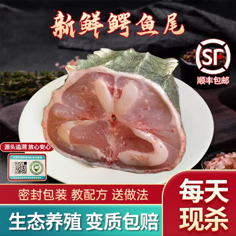 【5斤新鲜鳄鱼尾巴中段】带皮人工养殖鳄鱼尾火锅烧烤红烧煲汤清蒸