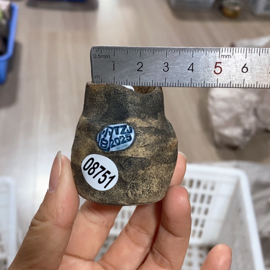 花盆拍3送一个小礼物