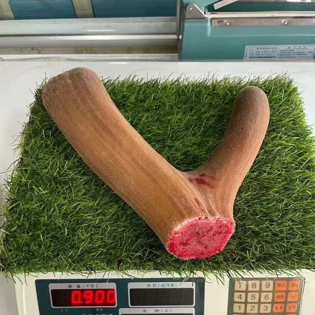 改价链接 新鲜  鹿茸 顺丰发货