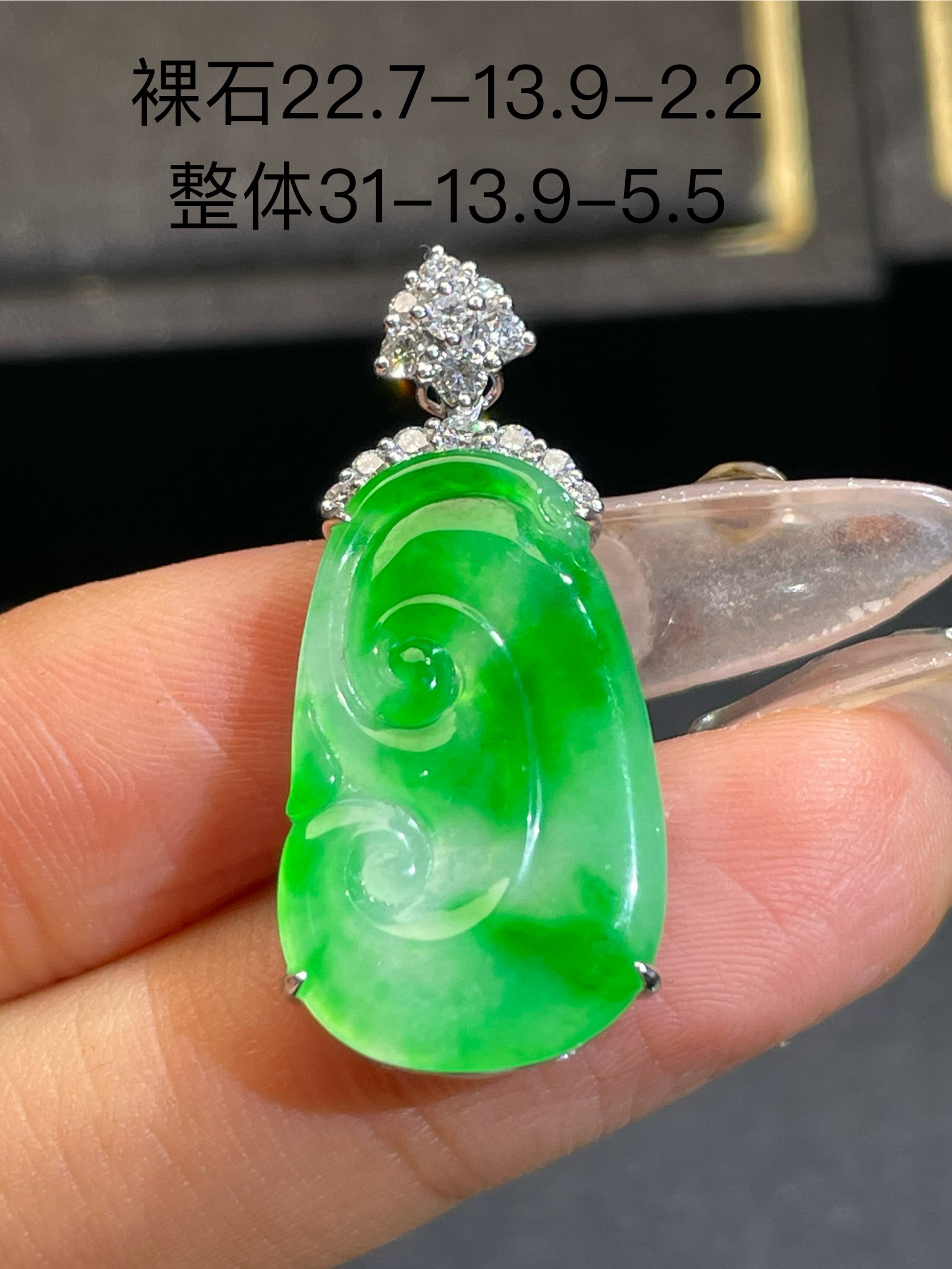 阳绿如意 自家档口货品实拍 天然缅甸翡翠A货 色正有种水性价比高