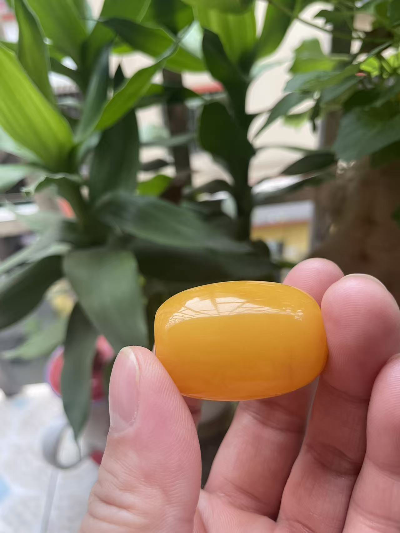 精品纯天然琥珀蜜蜡鸭蛋黄红色系大桶珠 统一江山一统天下 克重19
