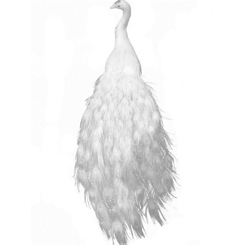 新款仿真白色羽毛拖尾孔雀婚庆摆设舞台演出道具标本摆件动物模型