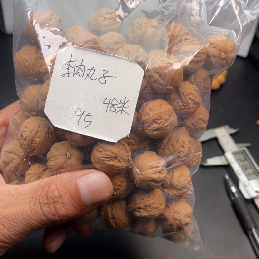 李***子野生小核桃95颗48